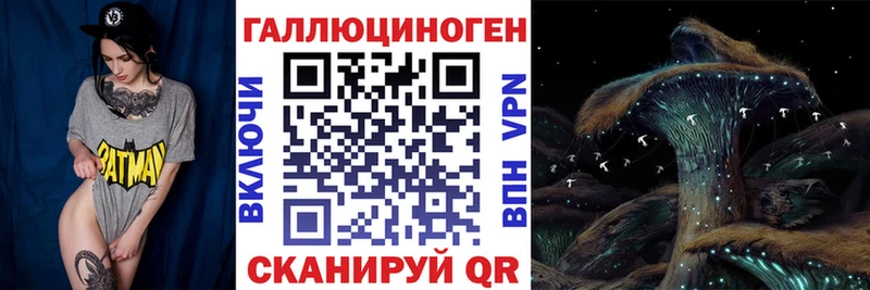 Купить закладки Славск Псилоцибиновые грибы MAGIC MUSHROOMS